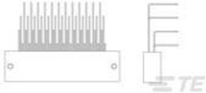 TE Connectivity 3-1589680-4 in Grau - Bild 1