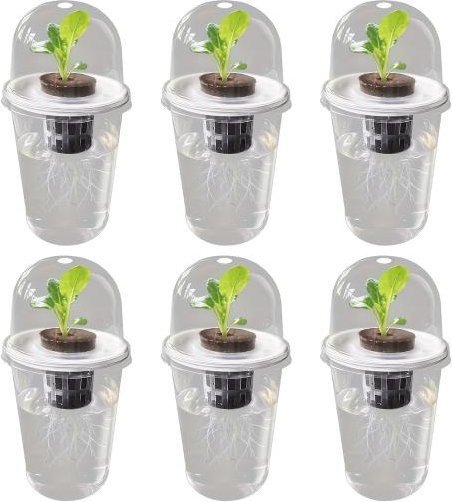 Pavo Hydroponische Pflanzen Anzuchttasse mit Haube, 6 Stück, transparent, Kunststoff-Keimtopf für Gartenbau und Anzucht - Bild 1