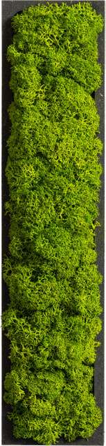 styleGREEN Piktogramm Buchstabe I aus Islandmoos in Grün, Länge: 26 cm, Breite: 6 cm - Bild 1