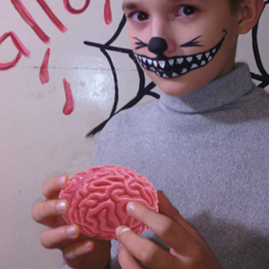 Weiche Gummi-Gehirn-Imitation, realistisches Kunstorgan, Stressball - Bild 2