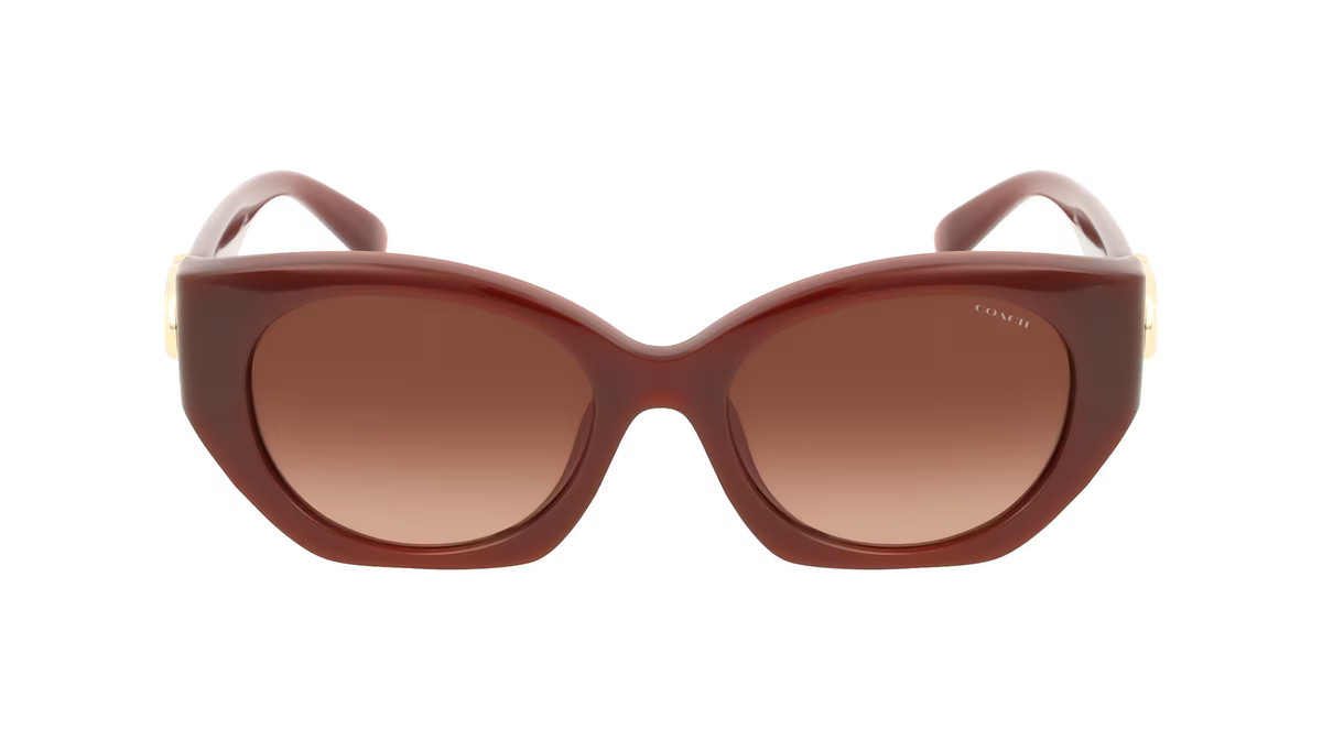 Coach HC8407U Sonnenbrille, Vollrand, Oval, Kunststoff, braun, Damen - Bild 1
