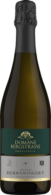 Schönberger Herrnwingert Weißburgunder, Brut, 2019, Schaumwein, 0,75 l - Bild 1