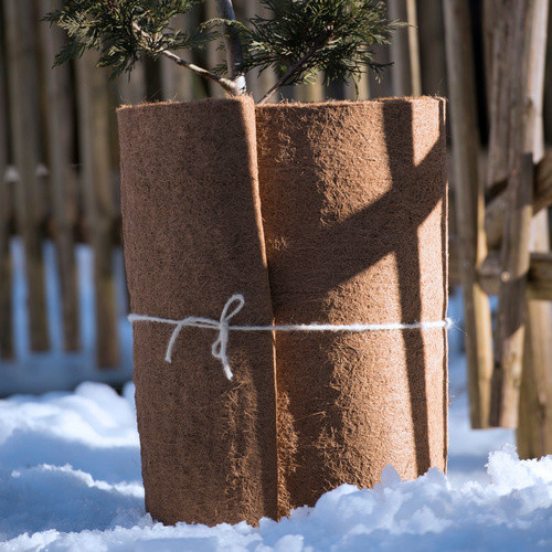 WINDHAGER Winterschutzmatte aus Kokos in Beige, B x L: 0,5 x 1,5 m - Bild 5