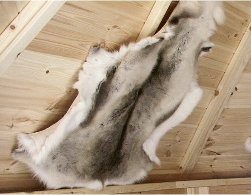 WOLFF Rentierfell in Beige und Braun aus Holz und Textil - Bild 1