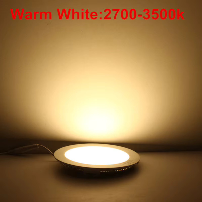 SEACAT LED-Einbauleuchte in Weiß mit Treiber für 12V und 24V AC/DC als moderne runde Deckenleuchte im Downlight-Design - Bild 2