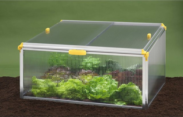 Juwel Frühbeet BIOSTAR PROTECT 1000