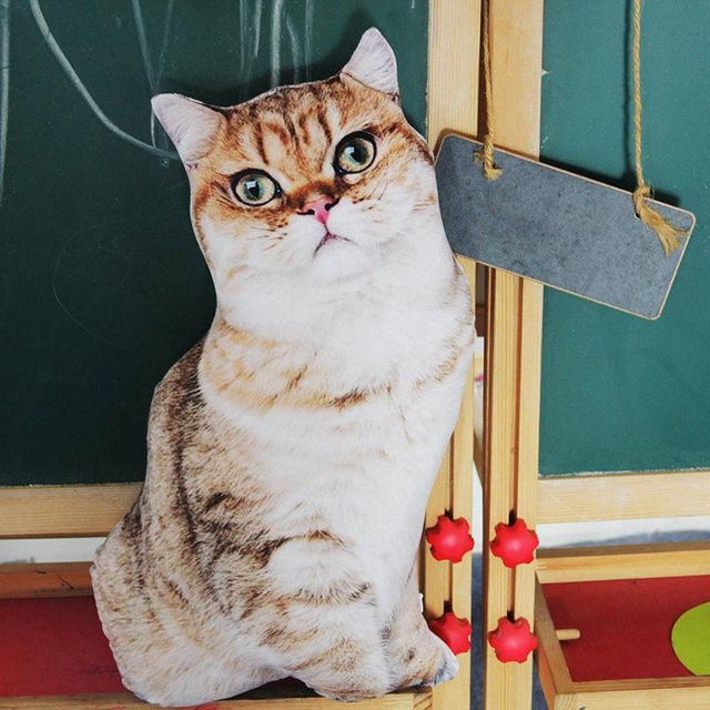 Yiran toy Lebensechte Plüschkatze als Kissen mit 3D-Druck in Braun, Breite: 50 cm - Bild 1