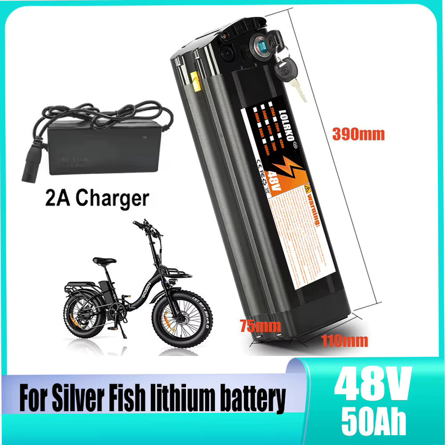 ALalito Lithium-Akku für 48V Elektroroller, 20Ah-50Ah, Schwarz, mit 4-poliger Bodenentladung und integriertem BMS-Schutz - Bild 4