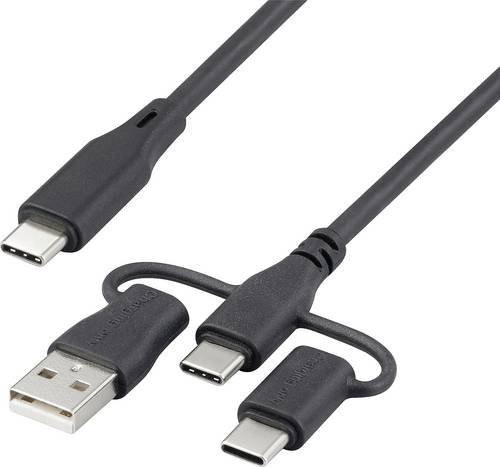 Renkforce USB-C Ladekabel USB 2.0 in Schwarz, Länge: 3,00 m, RF-6615910 - Bild 1