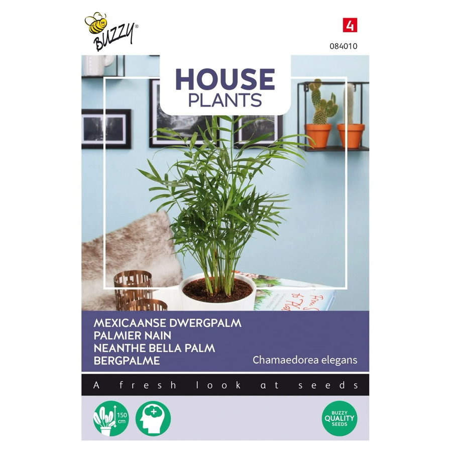 Buzzy House Plants Bergpalme Samen für Zimmerpflanzen, ca. 15 Stück - Bild 2