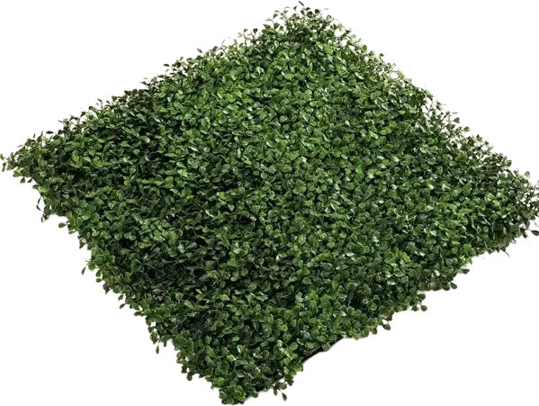 Künstliche Buchsbaum Matte Nick von Aplanta in Grün, Breite: 50 cm, Tiefe: 50 cm - Bild 1
