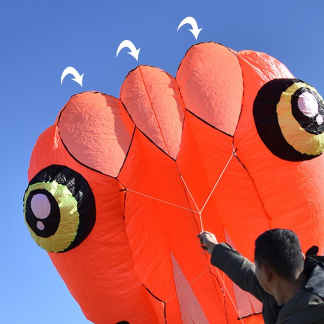 9KM DWLIFE Pilot Lifter Tadpole Kite, Einleiner-Luftdrachen, ab 14 Jahren - Bild 1