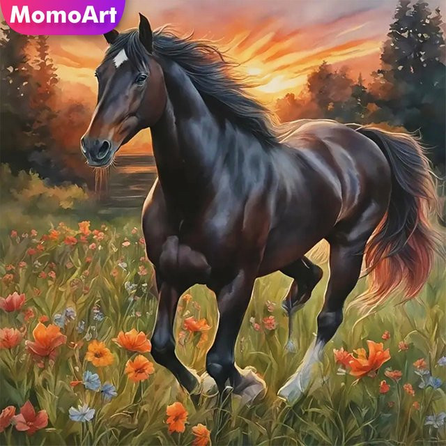 MomoArt 5D Diamant Mosaik DIY Stickerei Set Pferd im Sonnenuntergang, Mehrfarbig, Breite: 30,0 cm, Höhe: 30,0 cm - Bild 1