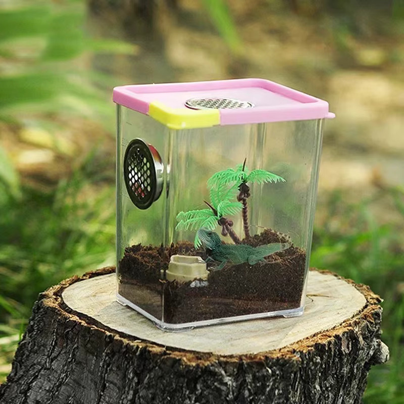 Transparente Zuchtbox aus Acryl für Reptilien, Spinnen, Eidechsen und Insekten - Bild 6