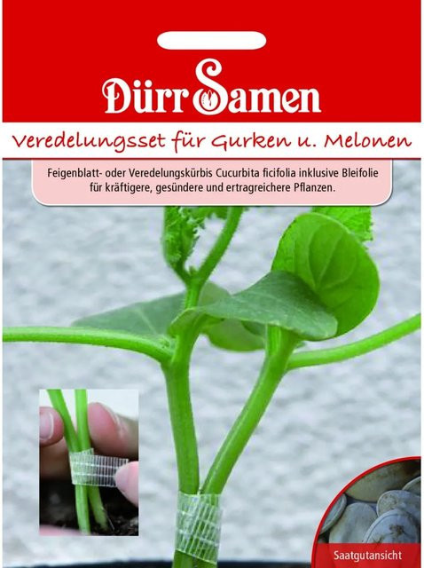 Dürr Veredelungs-Set für Gurken und Melonen mit Saatgut - Bild 1