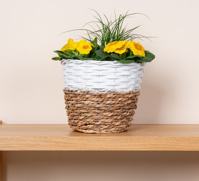 Seegras Pflanzenkorb von BLUME2000 in Weiß/Natur für den Tisch, Höhe: 25 cm, Breite: 21 cm, Tiefe: 25 cm - Bild 1