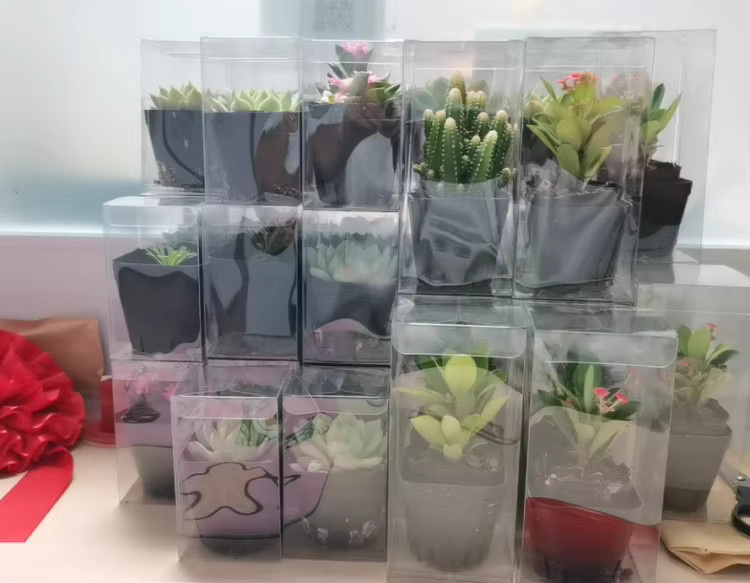 20 Stück leotrusting Transparente PVC Geschenkboxen zum Basteln für Schmuck und Figuren - Bild 3