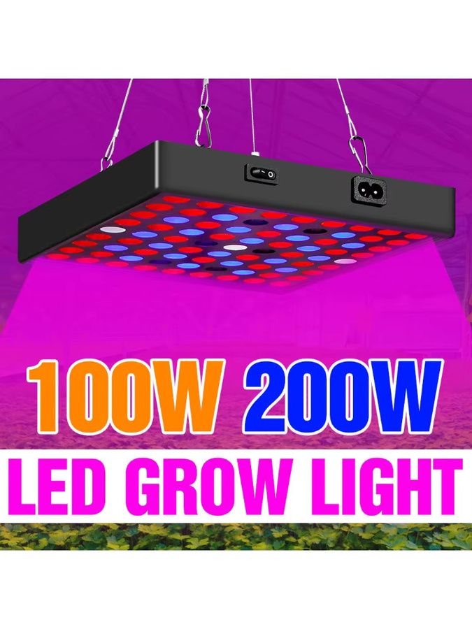 CanLing 200W LED Vollspektrum-Wachstumslampe in Schwarz für Zimmerpflanzen, Gewächshäuser, Hydroponik, Sukkulenten, Obst und Gemüse - Bild 7
