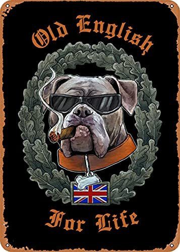 Dsydec Old English Bulldog Vintage Metallschild in Multicolour, Rechteckiges Retro-Wandschild mit Tier-Motiv, Breite: 20,0 cm, Höhe: 14,0 cm - Bild 1