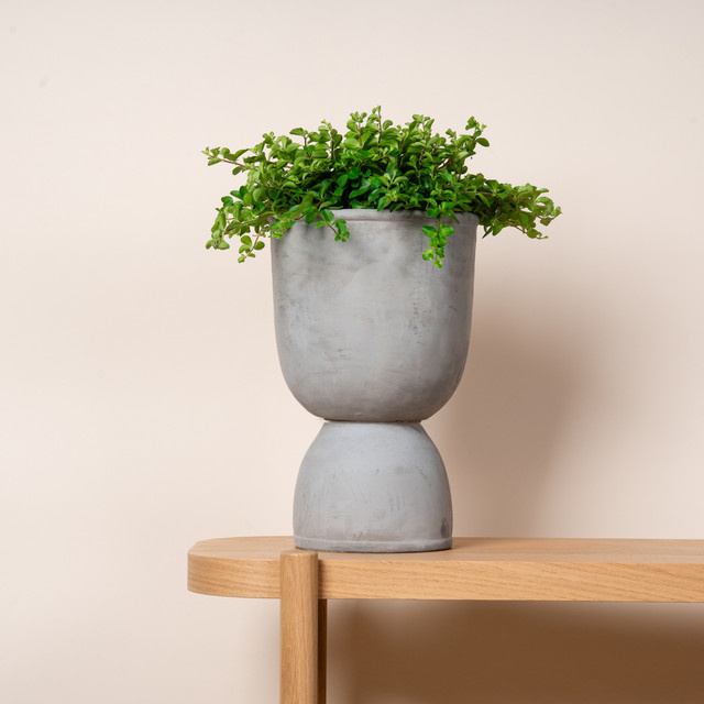 Übertopf Sockelgefäß aus Beton von BLUME2000 in Grau, Höhe: 19 cm - Bild 1