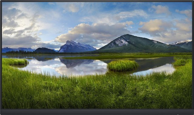 DELL P2422H LED-Monitor Full HD IPS 23.8 Zoll Schwarz mit HDMI, VGA und DisplayPort - Bild 1