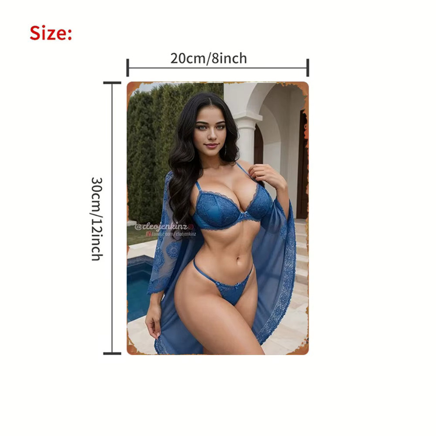CIFBUY Metallschild Blaues Spitzen-Dessous Vintage Wanddekoration Breite: 20,32 cm, Höhe: 30,0 cm - Bild 2