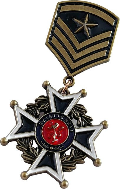 Metallanstecknadel, Vintage Militär-Enthusiasten Medaille, Unisex - Bild 1