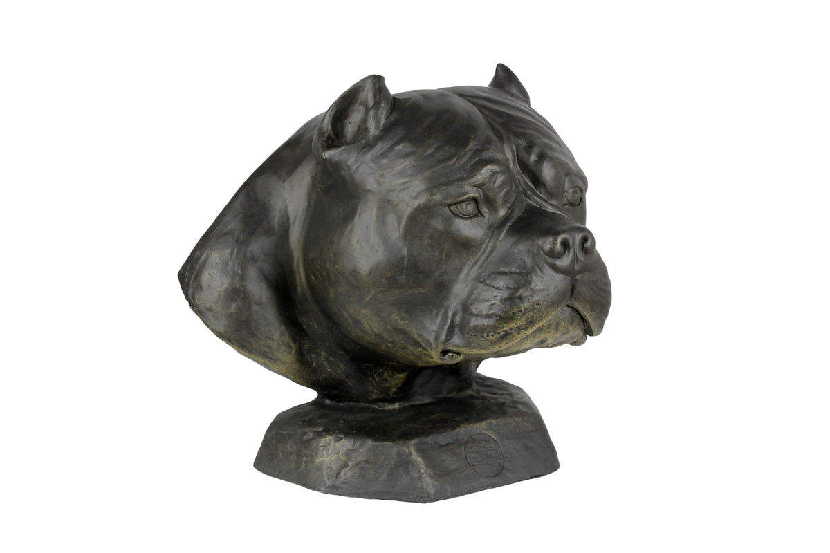 Art-Dog American Bully I Hundebüste aus Kunstharz in Braun zur Dekoration für Garten und Wohnzimmer - Bild 5