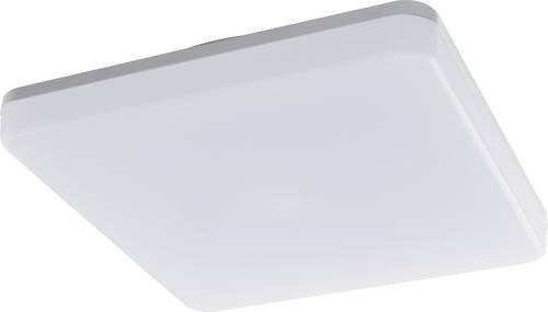 Heitronic PRONTO 500640 LED-Deckenleuchte in Weiß mit 24W Leistung - Bild 1