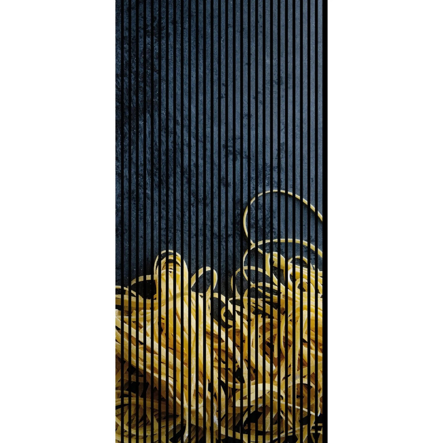 FN Acustico Akustikplatte Nudeln in Bunt, modernem Design aus PET und MDF, B/H/T: 113,3 x 240 x 1,9 cm - Bild 2
