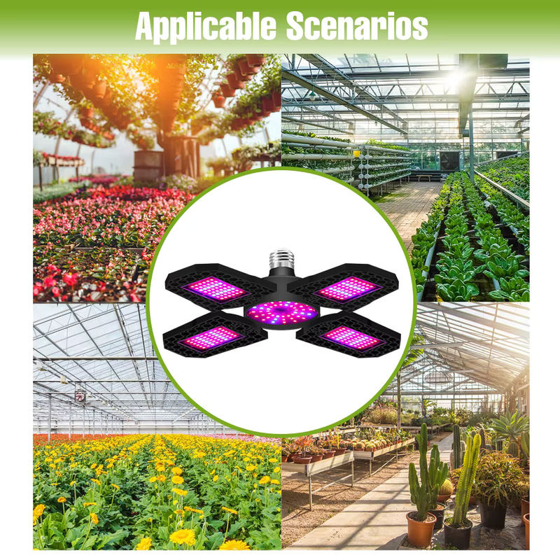 E27 LED Pflanzenlampe mit Vollspektrum für Indoor-Anbau von Blumen, Sämlingen und Gemüse in der Hydrokultur oder im Gewächshaus, Schwarz - Bild 4