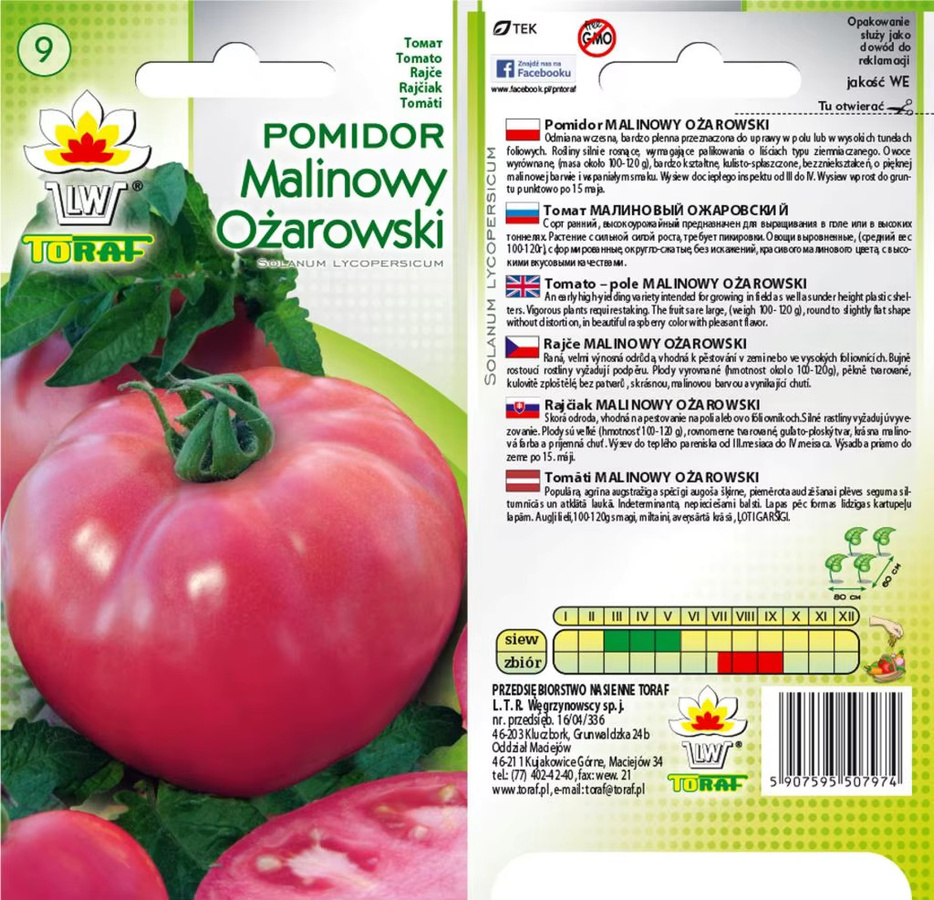 Toraf Tomatensamen ANYOR EARLY 0,5 g - Bild 2
