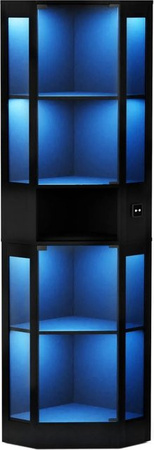 PXloue Glasvitrine Schwarz mit LED-Beleuchtung und Sicherheitsglas, B/T/H: 57 x 40 x 165 cm