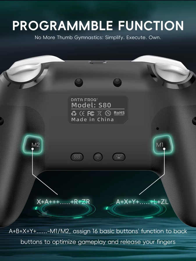 DATA FROG S80 Wireless Pro Controller für Nintendo Switch OLED, Switch Lite und PC in Schwarz mit Gyro-Sensor und Dual Vibration - Bild 3