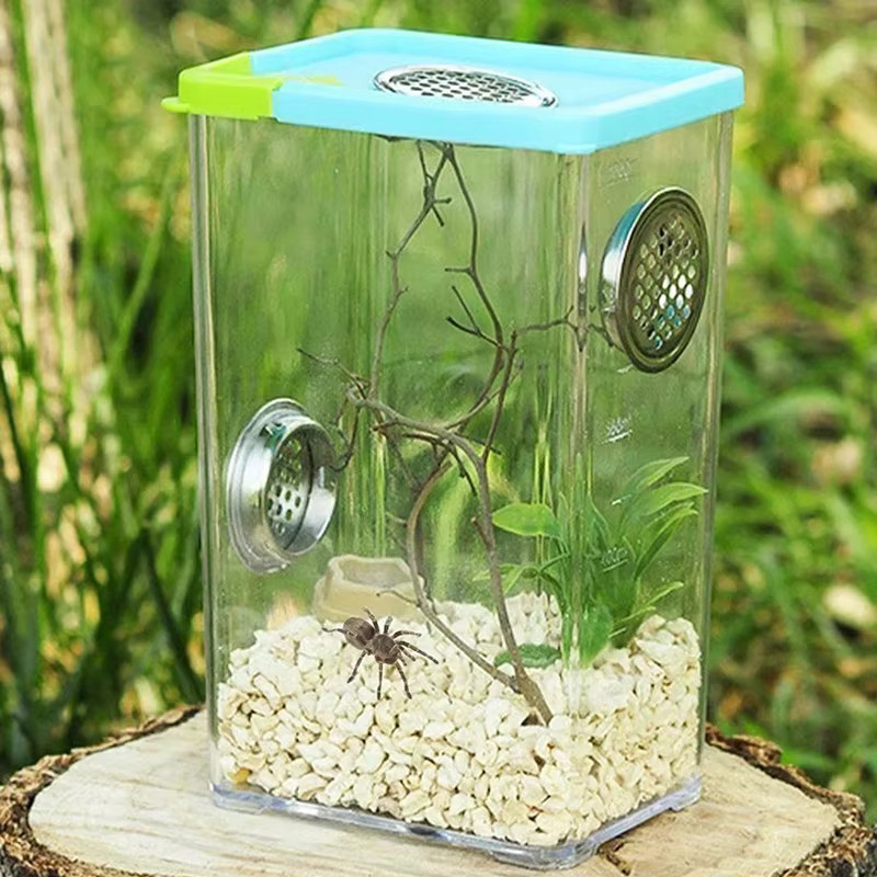 Transparente Zuchtbox aus Acryl für Reptilien, Spinnen, Eidechsen und Insekten - Bild 5