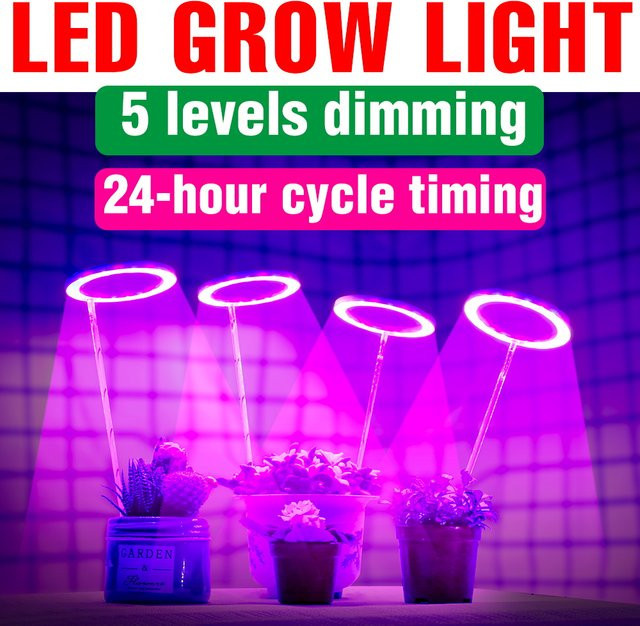 Dimmbares LED-Wachstumslicht mit Vollspektrum, Ringlampe für Zimmerpflanzen, Obst und Gemüse, inklusive 24-Stunden-Timer und USB-Anschluss, Farbe: Weiß - Bild 1