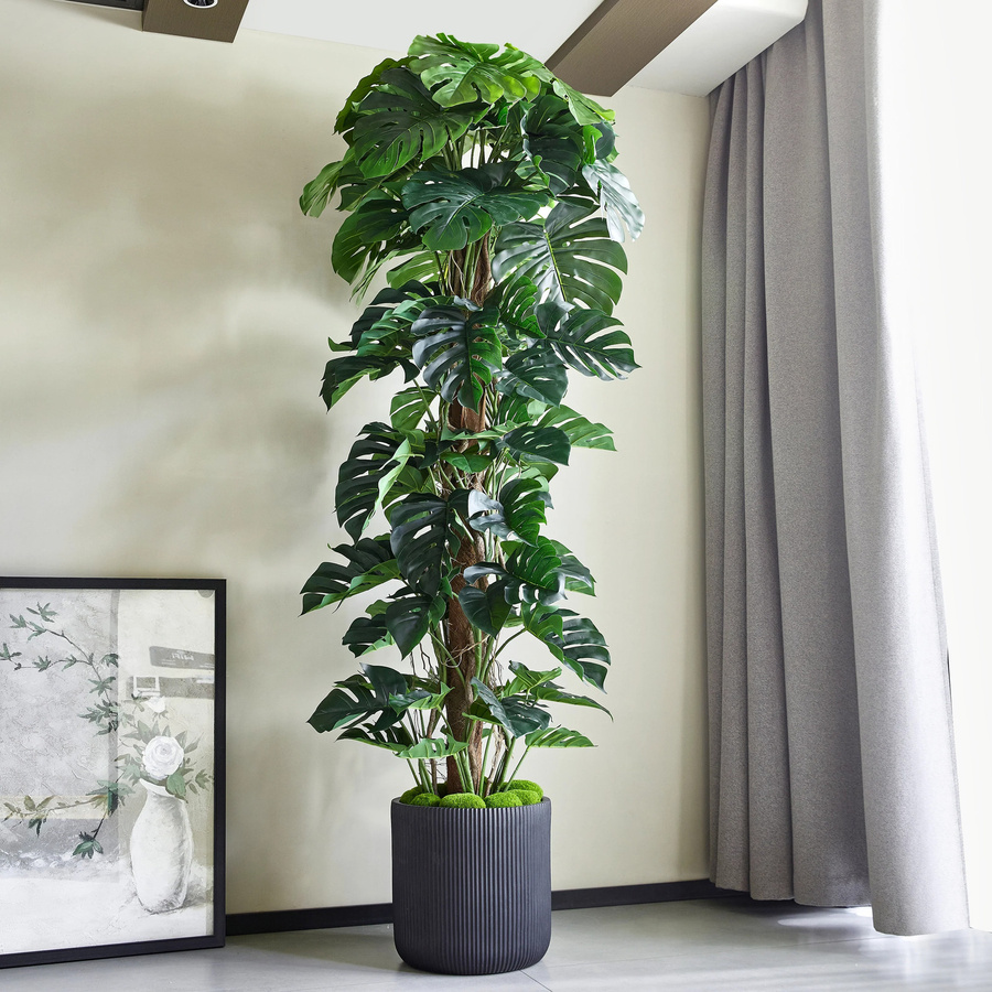 Künstlicher Split-Philodendron Zephira von Aplanta in Grün, Höhe: 210 cm - Bild 2
