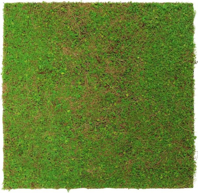 Jangal Wandpaneel Modular Wall in Green Coconut, B/H: 52 x 52 cm - Bild 1