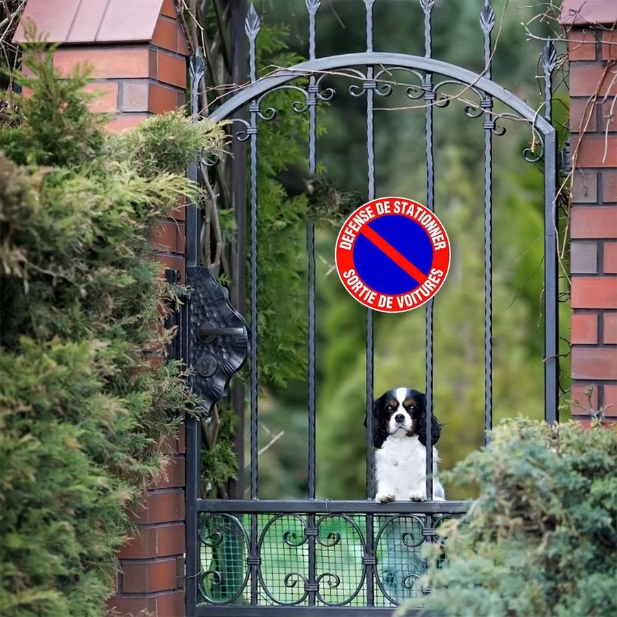 Rundes Aluminiumschild Potdemiel No Parking für Innen und Außen, Durchmesser: 20,3 cm - Bild 4