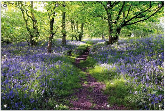 Wallario Gartenposter Blaues Hasenglöckchen im Wald, B: 60 cm, H: 90 cm - Bild 1