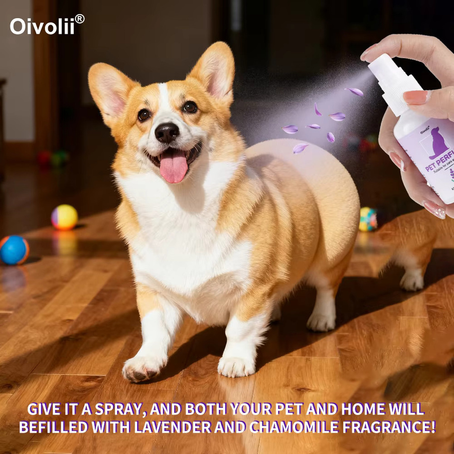 Oivolii Haustier-Geruchsentferner-Spray Lavendel-Kamille - Bild 2