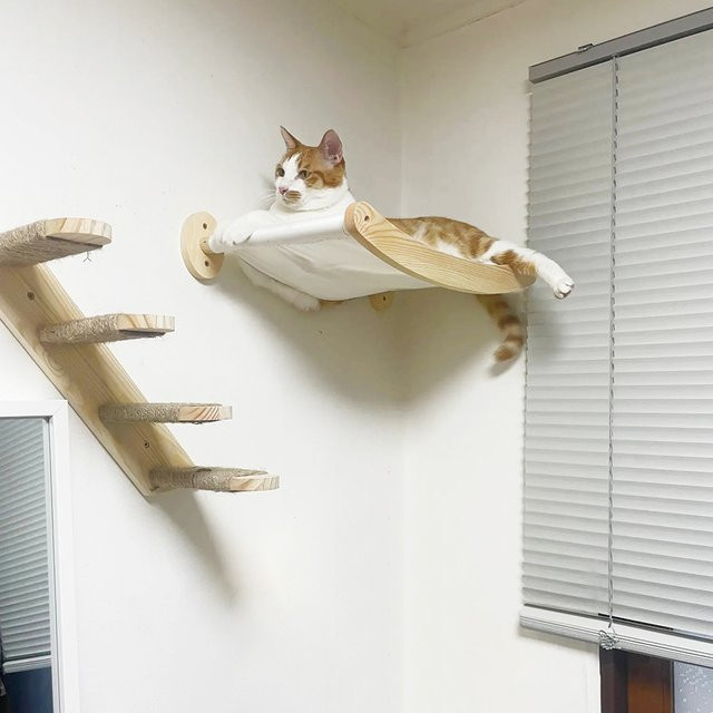 CWV Katzen-Wand-Hängematte aus Holz mit Stufen-Set, Kletterleiter und Kratzseil in Multicolour im skandinavischen Design - Bild 1