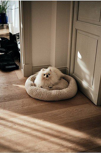 Jotex YOSHI Hundebett und Katzenbett aus Bouclé in Beige mit erhöhtem Rand und runder Form - Bild 1