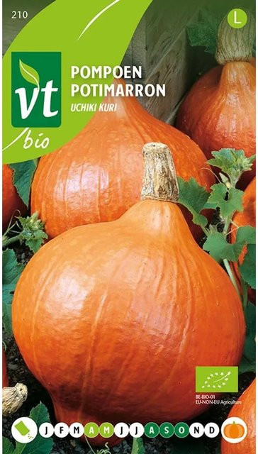 Arborix Bio Uchiki Kuri Kürbis Samen, 2 g - Bild 1