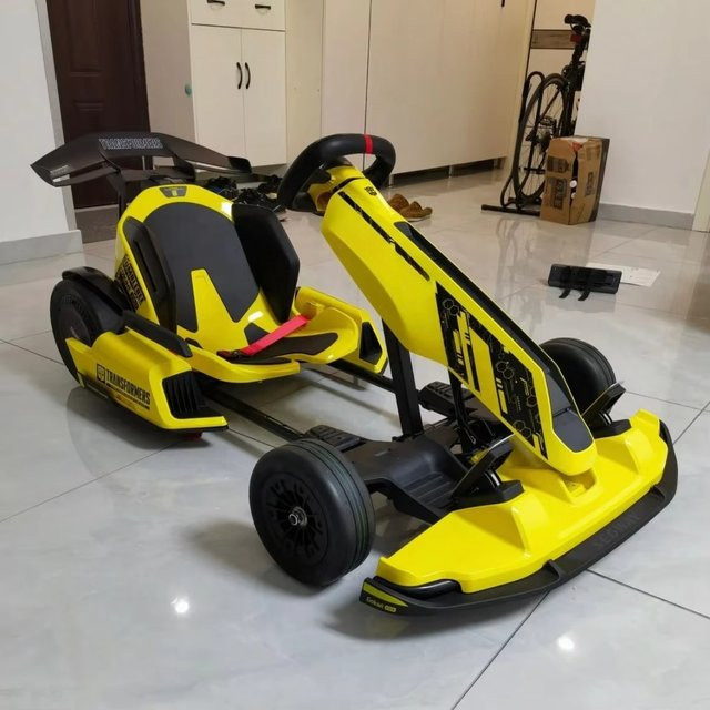 Ninebot Hochgeschwindigkeits-Gokarts für Erwachsene - Bild 1