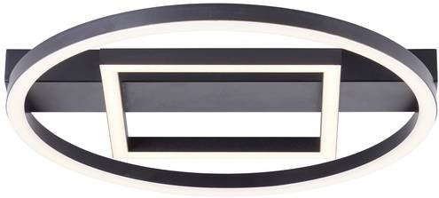Brilliant LED-Deckenleuchte Maureen Schwarz B/T: 37 x 37 cm, 24W, 2500lm, 3000K Warmweiß - Bild 1