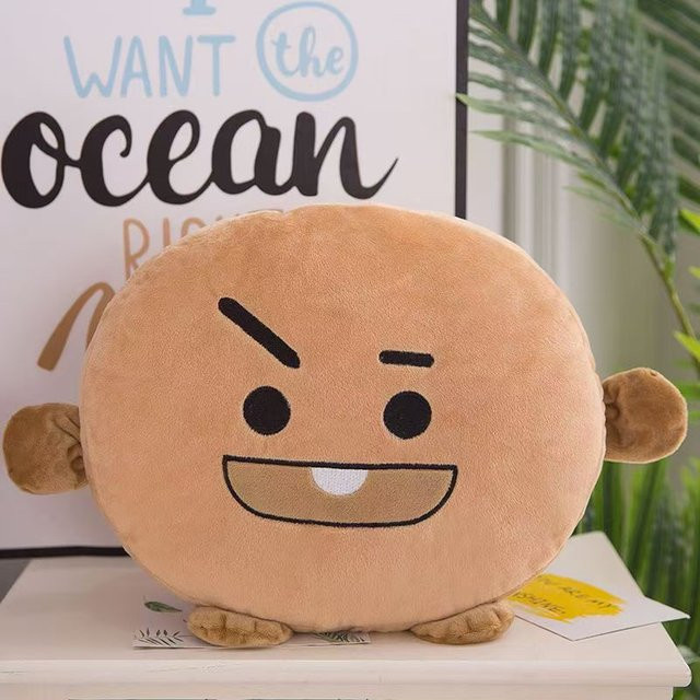 BT21 BTS Kpop Plüsch Komfortkissen in Braun, B/T/H: 30 x 30 x 30 cm - Bild 1