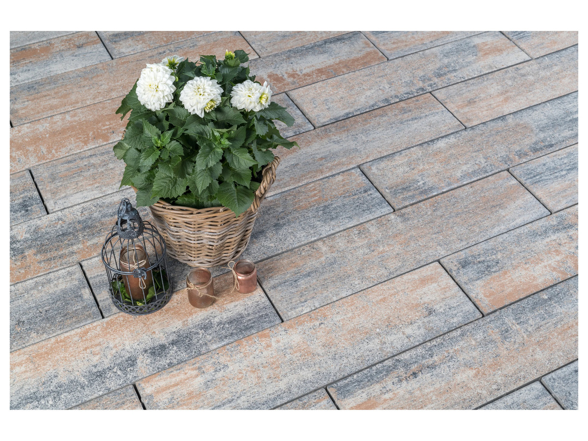 Diephaus Terrassenplatte Muschelkalk in Beige B/T/H: 80 x 20 x 6 cm - Bild 2