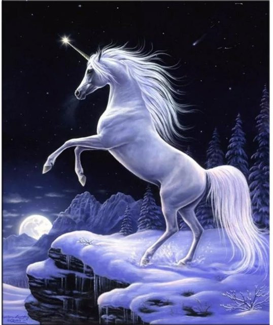 FIYO Diamant Stickerei Set Einhorn Mosaik Malerei in Silber und Weiß, B x H: 30 x 40 cm - Bild 1