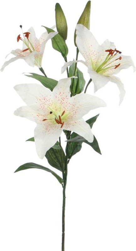 Mica Decorations Künstliche Lilie Stargazer in Creme und Weiß, Einzelner Stiel, Höhe: 75 cm - Bild 1